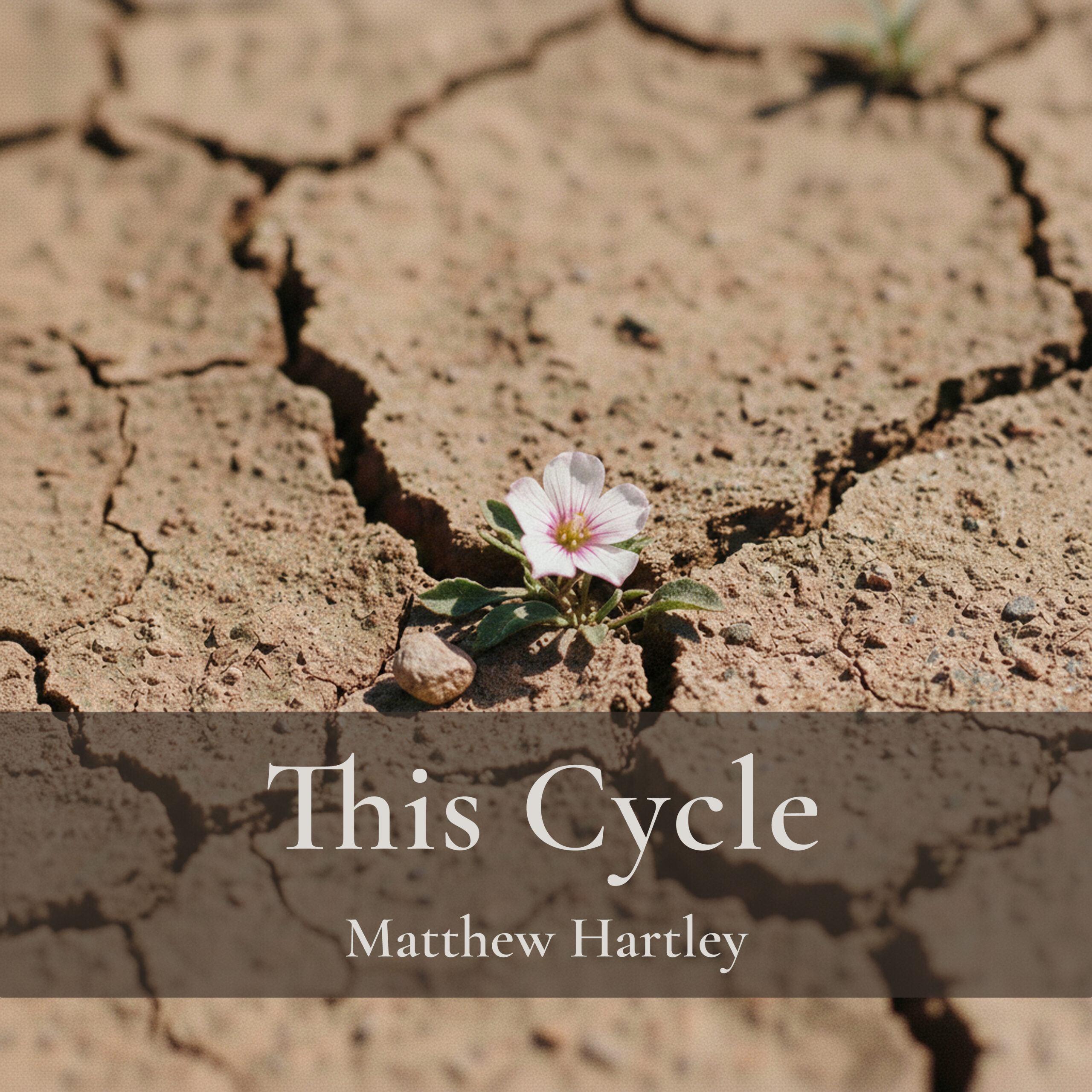 This Cycle
